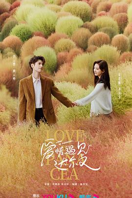 无敌手机版海报剧照